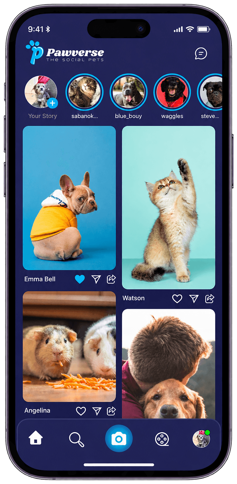 The Pawverse home feed, with pet stories across the top and a grid of photo posts below