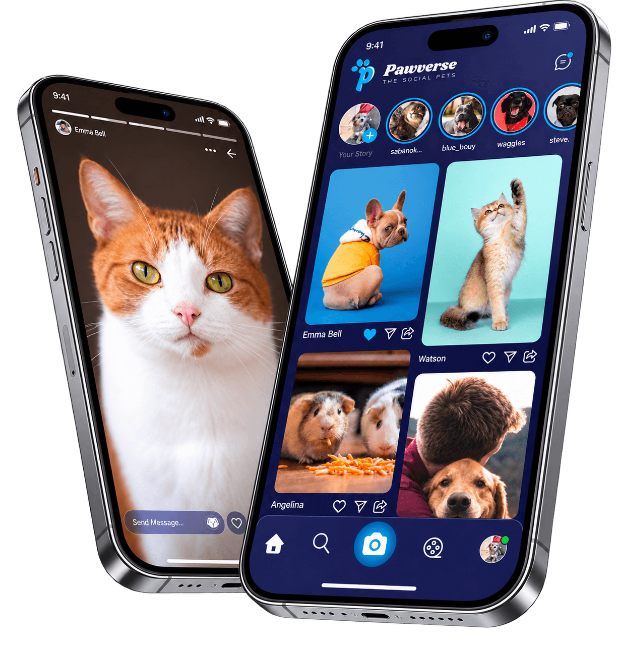 Pawverse mobile app preview